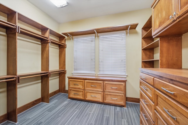 walk in closet featuring dark wood-type flooring