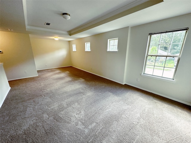 spare room featuring crown molding, a raised ceiling, carpet, and a wealth of natural light