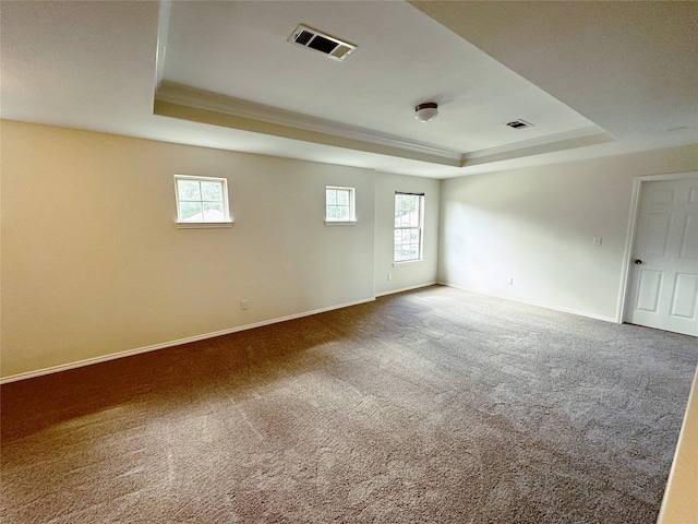 spare room featuring carpet, plenty of natural light, and a raised ceiling