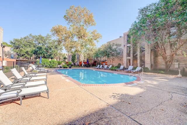 view of pool with a patio area