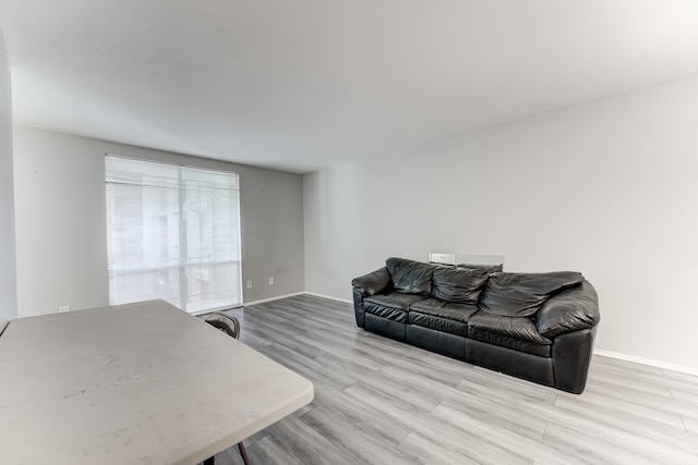 living room with light wood-type flooring