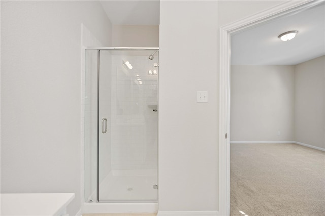 bathroom featuring a shower with shower door