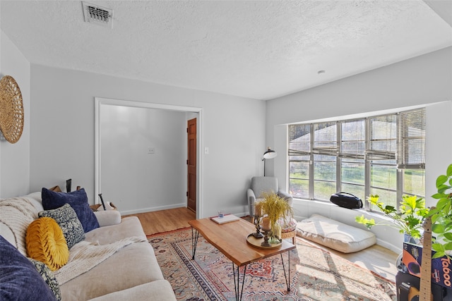 living room featuring a textured ceiling and wood-type flooring