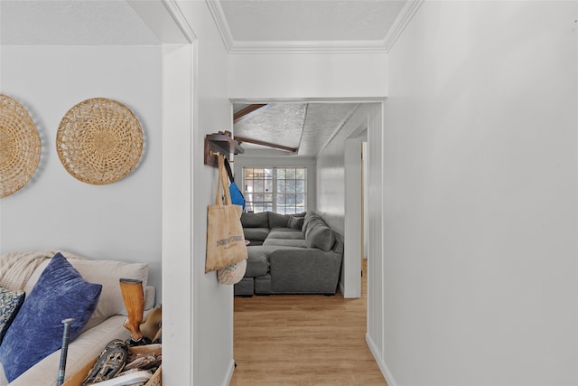 corridor featuring crown molding and light hardwood / wood-style flooring