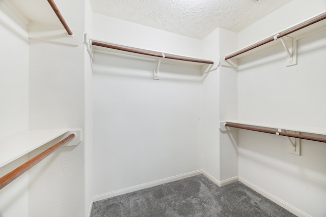 spacious closet with dark colored carpet