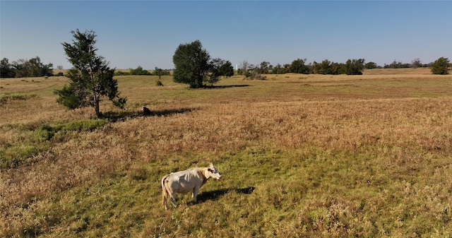 7937 Fm 2485, Normangee, TX 77871 - photo 13