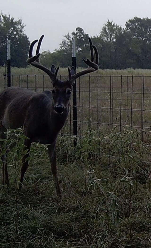 7937 Fm 2485, Normangee, TX 77871 - photo 20