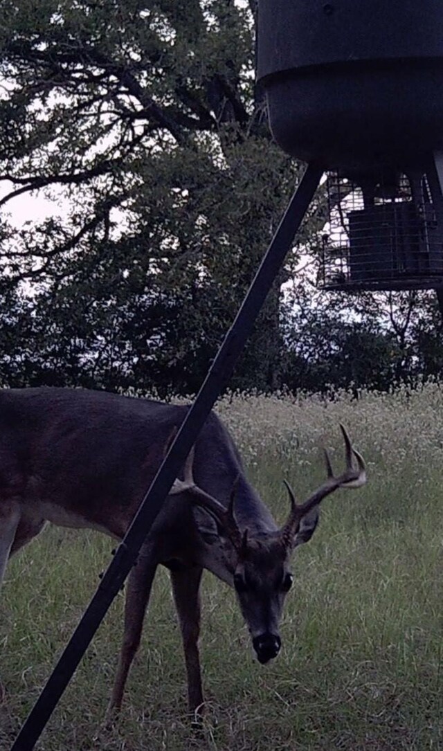 7937 Fm 2485, Normangee, TX 77871 - photo 21