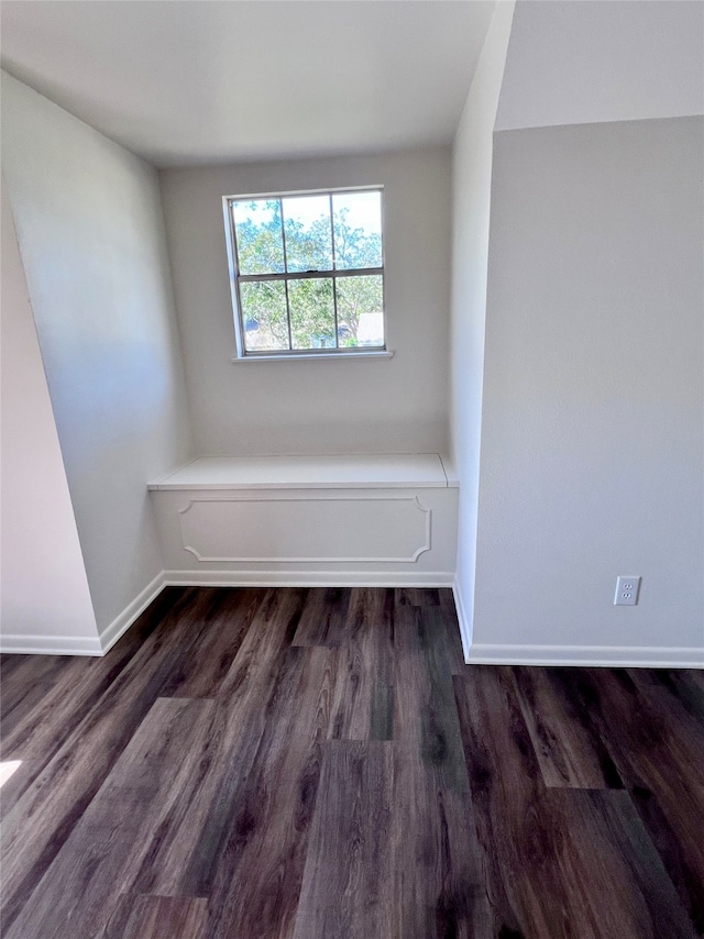 spare room with dark wood-type flooring