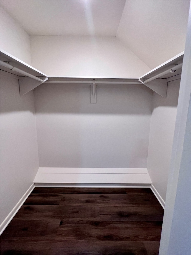 spacious closet featuring dark wood-type flooring