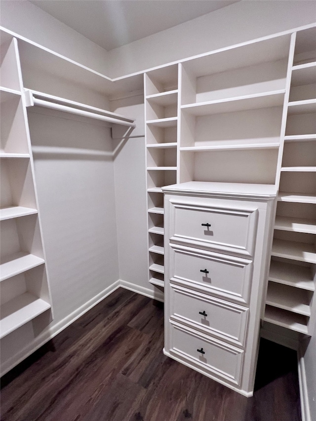 walk in closet with dark wood-type flooring