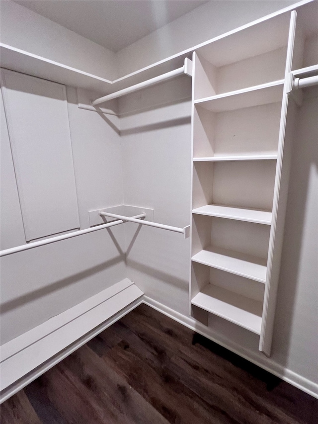 spacious closet with hardwood / wood-style flooring