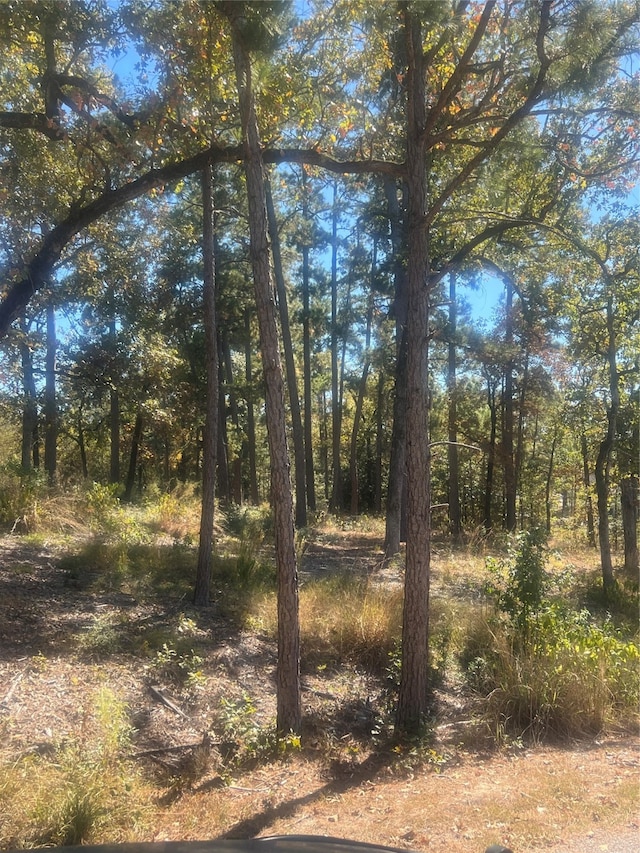 Listing photo 3 for 00 Tall Timbers Dr, Huntsville TX 77320