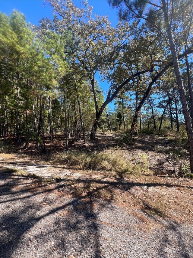 00 Tall Timbers Dr, Huntsville, TX 77320 - photo 5