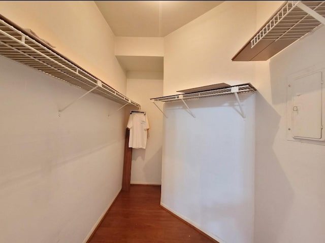 spacious closet featuring electric panel and dark hardwood / wood-style floors