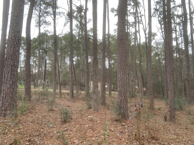 11 Yolanda St, Huntsville, TX 77320 - photo 2