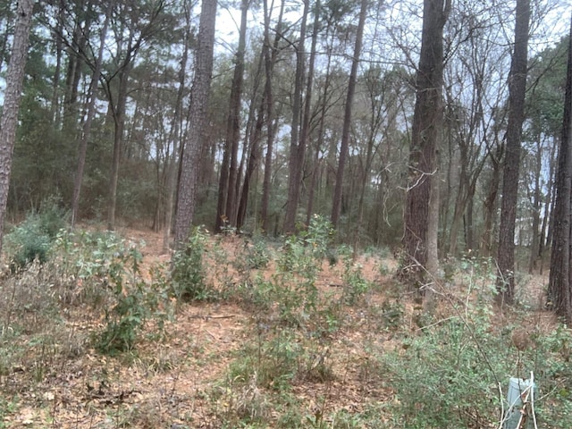 11 Yolanda St, Huntsville, TX 77320 - photo 3