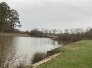 11 Yolanda St, Huntsville, TX 77320 - photo 6