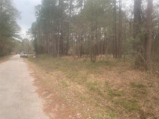 11 Yolanda St, Huntsville, TX 77320 - photo 7