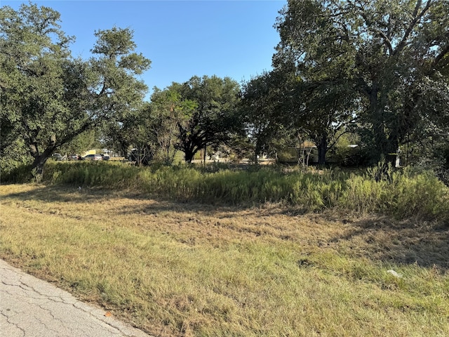 Listing photo 3 for 2100 Rice St, Hempstead TX 77445