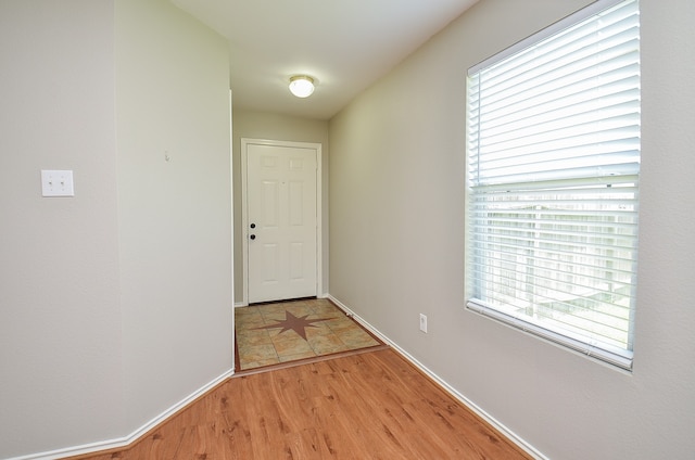 interior space featuring light hardwood / wood-style flooring and plenty of natural light