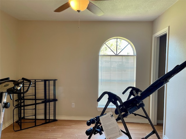 exercise room featuring light hardwood / wood-style flooring and ceiling fan