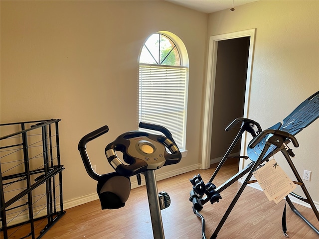 workout room featuring light hardwood / wood-style flooring