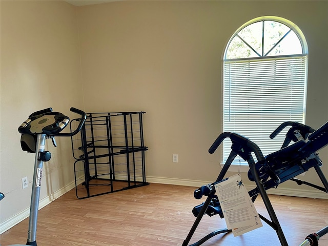 workout area featuring wood-type flooring