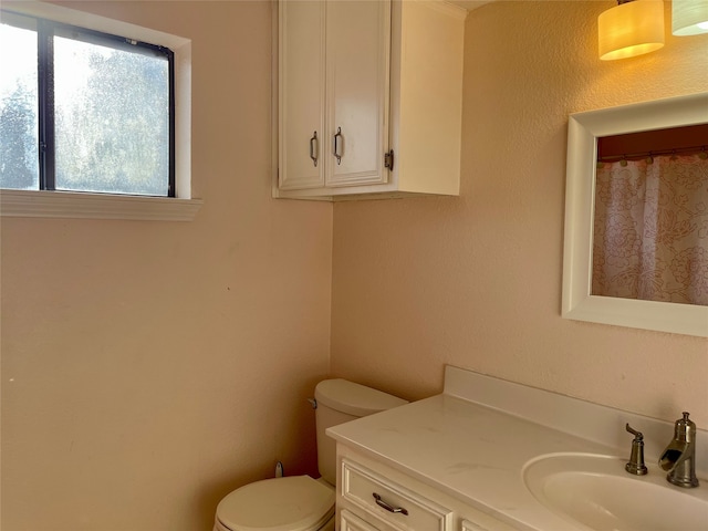 bathroom with toilet and vanity