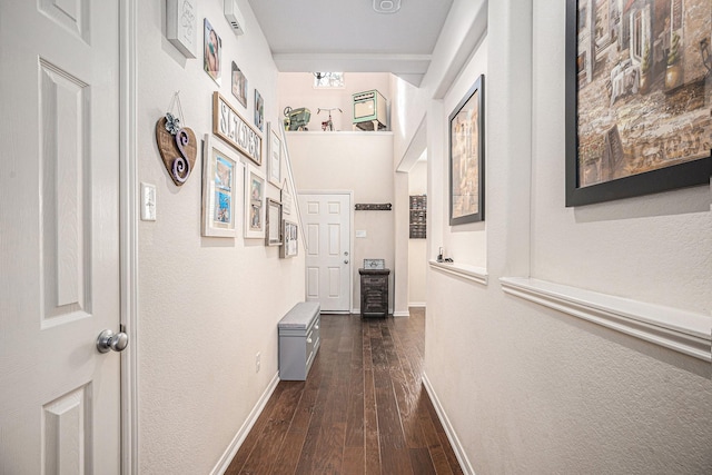 corridor featuring dark hardwood / wood-style flooring