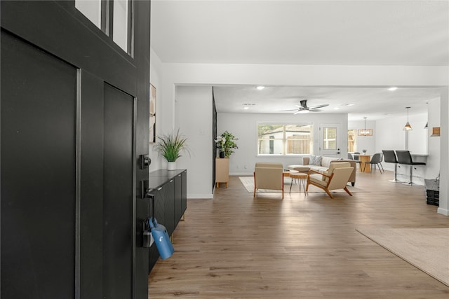 foyer featuring hardwood / wood-style floors and ceiling fan