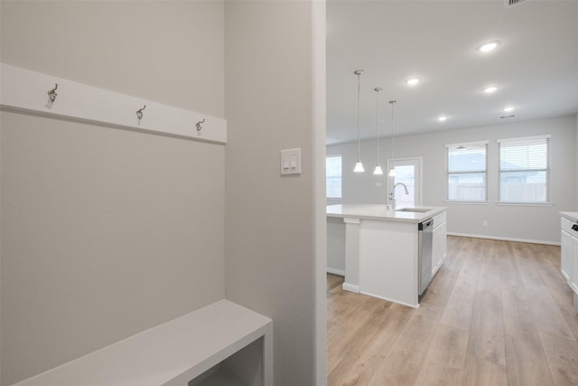 mudroom featuring a healthy amount of sunlight, sink, and light hardwood / wood-style floors