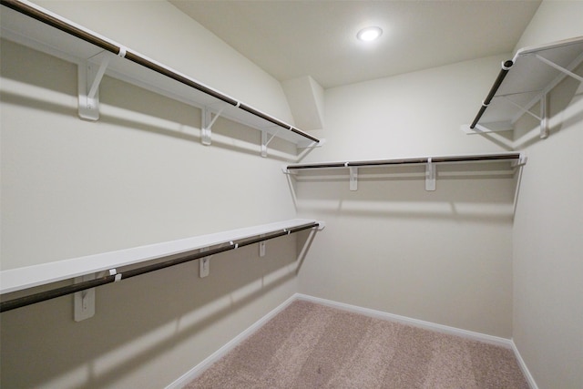 walk in closet featuring carpet