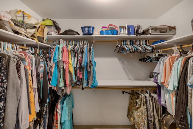 view of spacious closet