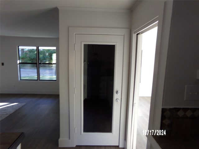 corridor with crown molding and dark hardwood / wood-style flooring