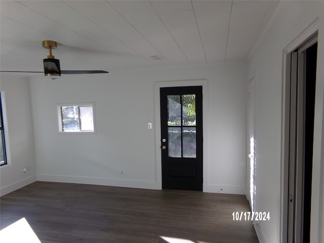 foyer featuring dark wood-type flooring, ceiling fan, and ornamental molding