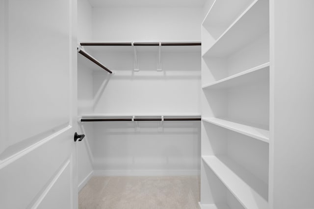 walk in closet with light carpet