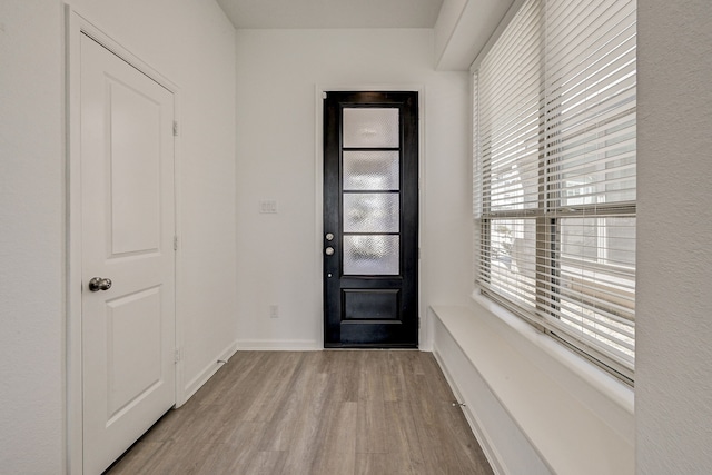 entrance foyer with light hardwood / wood-style floors