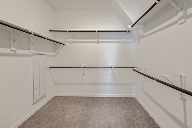 walk in closet featuring light colored carpet