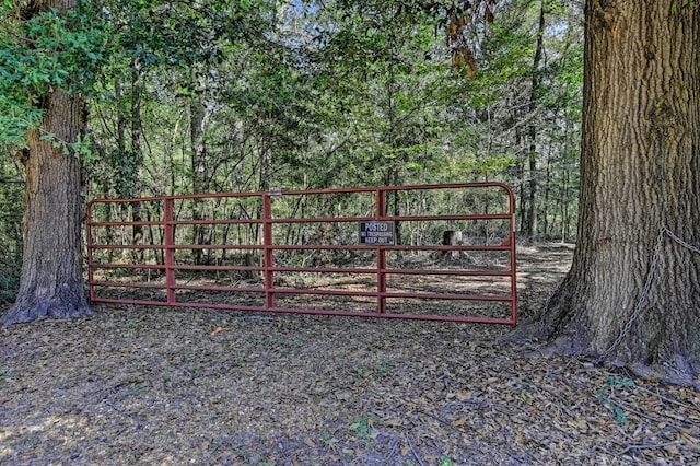 TBD Bryan Lane, Willis TX, 77378 land for sale