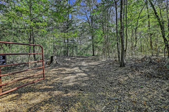 Listing photo 2 for TBD Bryan Lane, Willis TX 77378