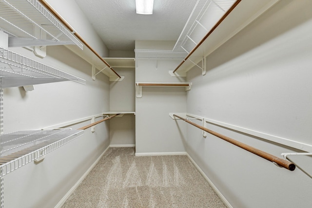 walk in closet featuring light colored carpet