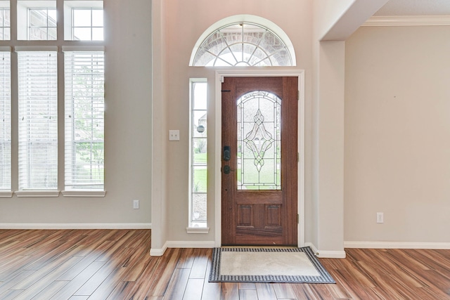 entrance foyer with crown molding, hardwood / wood-style flooring, and a wealth of natural light