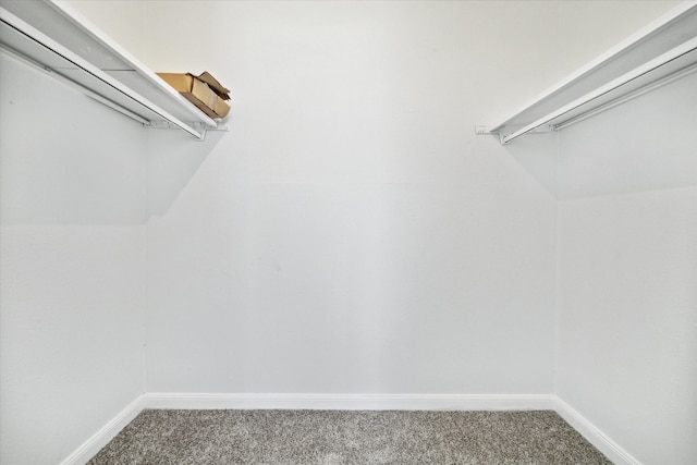 spacious closet with carpet