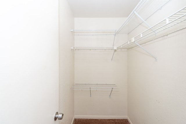 walk in closet with carpet floors