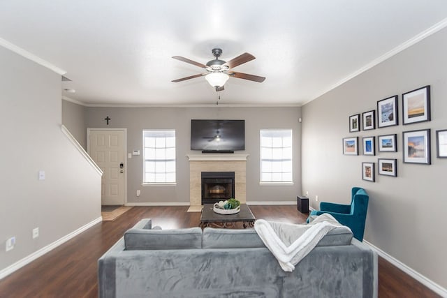 living room featuring crown molding, plenty of natural light, dark hardwood / wood-style floors, and ceiling fan