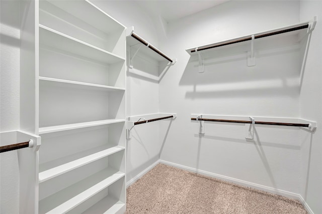 walk in closet featuring carpet flooring