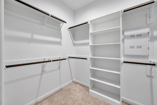 walk in closet with light carpet