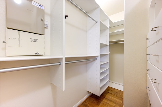 spacious closet featuring wood-type flooring