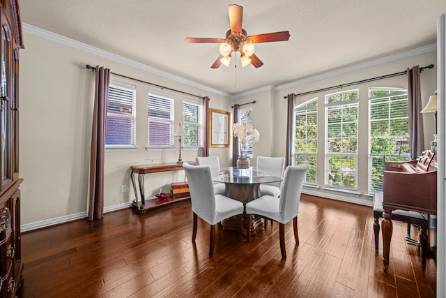 dining room featuring a wealth of natural light and dark hardwood / wood-style floors